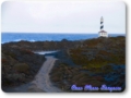 el estrecho camino de acceso al faro de favaritx discurre entre las rocas de pizarra