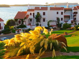 la urbanizacion turistica de la costa de es mercadal, playas de fornells, cuenta con las zonas de jardines mas coloridos y cuidados de menorca, bien merece una visita